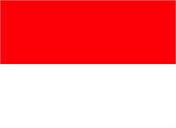 [ai] The national flag of Indonesia, featuring two horizontal bands with red on the top half and white on the bottom half.